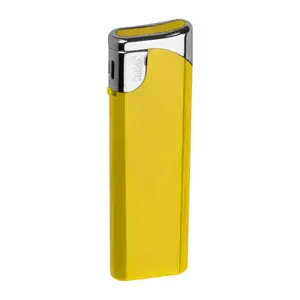 Electronic lighter