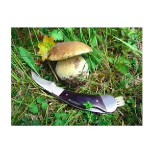PILZ mushroom knife